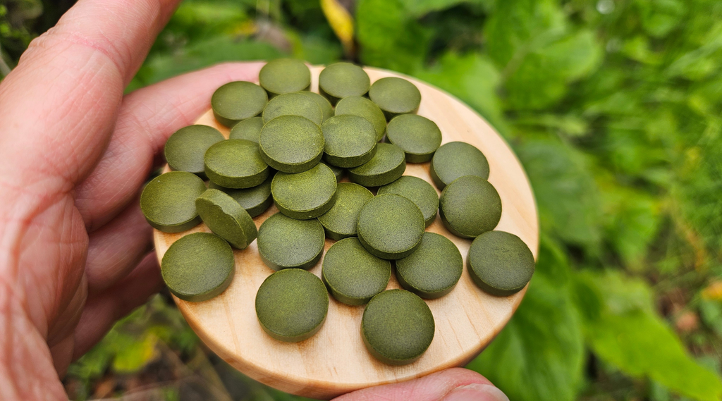Chlorella werking: het groene goud van het water
